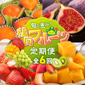 �y�ӂ邳�Ɣ[�Łz����� 6�� �t���[�c ���n �}���S�[ �V���C���}�X�J�b�g ���C�`�W�N �r�I���\���G�X �L�E�C �Â��� �` ������GAP �H�� ���܂��� ������ �O���� �{ ������ ������ �v����