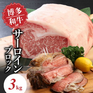 yӂ邳Ɣ[Łza T[CubN 3kg a   | T[C 炩 W[V[ Xe[L Xe[L [Xgr[t ύ Ƃ낯 H ~ Ԑg g o