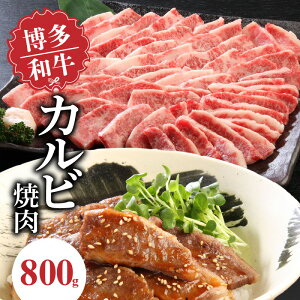 yӂ邳Ɣ[Łz a Jrē o 800g X vI Jr 炩 W[V[ RN |   Y  ē AW Jr `WI[X o[xL[ AEg