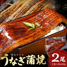 【ふるさと納税】特大 うなぎ 蒲焼 無頭 約 400g 2尾 グルメ 食品 加工品 魚 魚介類 おかず 惣菜 ご飯のお供 酒の肴 うな丼 ひつまぶし お茶漬け 鰻巻き 冷凍 パック 太輔商事 福岡県 久留米市 お取り寄せ お取り寄せグルメ 送料無料