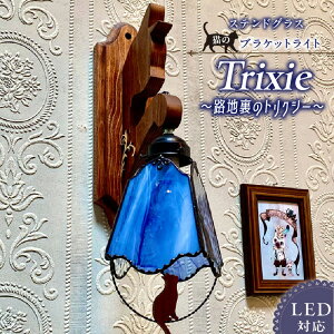 yӂ邳Ɣ[ŁzXehOX uPbgCg HñgNV[ Trixie Cg LEDΉ  Ɩ  nhCh NAOX Rogu[  L ؃x[X ͗l 