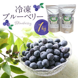 【ふるさと納税】冷凍 ブルーベリー 1kg 完熟 自家農園 ミキサー アイス ヨーグルト シャーベット スムージー アントシアニン 疲れ目 腸内環境 国産 ジャム レシピ 冷凍フルーツ 果物 フルーツ お取り寄せ くだものお取り寄せ 福岡県 久留米市 送料無料