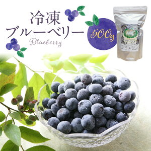 【ふるさと納税】ブルーベリー 冷凍 500g 1パック 福岡県産 果物 フルーツ 冷凍フルーツ デザート おやつ 冷凍食品 食品 お取り寄せ お取り寄せフルーツ 美味しい 九州 国産 トッピング アレ