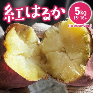 yӂ邳Ɣ[Łz܂ g͂邩 Y 5kg 15{ ` 18{  1{  200`350g Â x  x 1 n Z 킢 Ƃ zNzN 퉷 F_  Ă  v