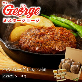 【ふるさと納税】ハンバーグ 150g × 5個 セット ソース付き スタミナソース 冷凍 やわらかい 人気のソース 和風にんにくベース マスタード風味 おかず 食品 惣菜 肉惣菜 ハンバーグ専門店 ミスタージョージ 福岡県 久留米市 お取り寄せ お取り寄せグルメ 送料無料
