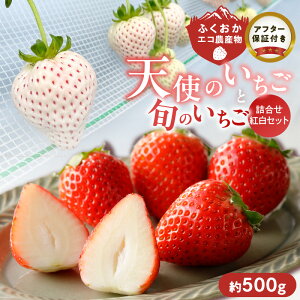 yӂ邳Ɣ[Łzʍ͔|  {  lߍ킹 gZbg  500g 2pbN ӂGR_Y {̂ Hה Mtgp vĎsY Vĝ ܂ ݂̂ 