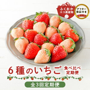 yӂ邳Ɣ[Łz 3 ʍ͔| 6  Hה Zbg ӂGR_Y {̂ VN vĎsY  W Vĝ ܂  gق  ʕ 