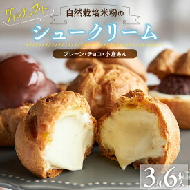 【ふるさと納税】自然栽培 米粉 シュークリーム 3種 × 2個 計 6個 セット プレーン チョコ 小倉あん 濃厚 カスタードクリーム 優しい 甘さ オーガニックチョコ 自家製 あんこ 特製 クリーム スイーツ デザート お取り寄せ 福岡県 久留米市 送料無料
