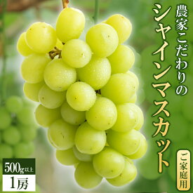 【ふるさと納税】【2026年8月より順次発送】シャインマスカット 1房 500g以上 九州 温暖 気候 活かす 農家 こだわり ご家庭用 先行受付 皮ごと食べられる 上品 甘さ フルーツ 果実 果物 ぶどう マスカット デザート おやつ お取り寄せ 福岡県 久留米市 送料無料