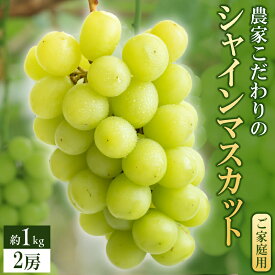 【ふるさと納税】【2026年8月より順次発送】シャインマスカット 2房 約1kg 九州 温暖 気候 活かす 農家 こだわり ご家庭用 先行受付 皮ごと食べられる 上品 甘さ フルーツ 果実 果物 ぶどう マスカット デザート おやつ お取り寄せ 福岡県 久留米市 送料無料
