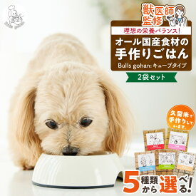 【ふるさと納税】CUBE型 20個入×2袋 無添加ドッグフード 1袋300g(馬肉・豚肉・鹿肉・鶏肉・魚の中から2つ) 国産 手作り アレルギー ウェット 子犬 シニア犬 冷凍 ヒューマングレード 老犬 小型犬 お試し 選べる ペットフード ブルズごはん