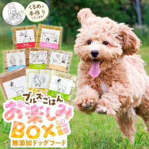 yӂ邳Ɣ[ŁzYhbOt[h lZbg uY͂񂨊yBOX CUBE^ 5×300g 20 n ؓ  {  e1 e[k 80g 3P {[uXX[v 300g 2P e20 Y 