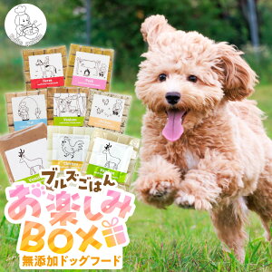 yӂ邳Ɣ[ŁzYhbOt[h lZbg uY͂񂨊yBOX CUBE^ 5×300g 20 n ؓ  {  e1 e[k 80g 3P {[uXX[v 300g 2P e20 Y 