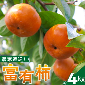 yӂ邳Ɣ[Łz_ xL`  4kg cےn { ` cےό` _  Y BY cےY H̖o t[c ʕ {̃t[c fU[g Hi Hו 퉷 