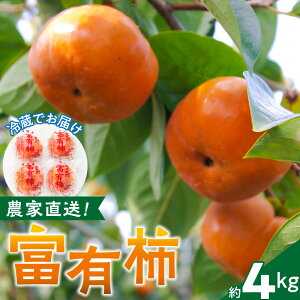 yӂ邳Ɣ[Łz_ xL`  4kg cےn { ` cےό` _  Y BY cےY H̖o t[c ʕ {̃t[c fU[g Hi Hו ① 