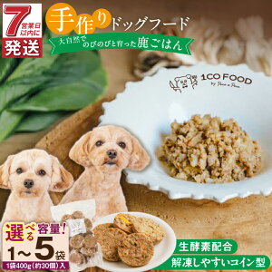 yӂ邳Ɣ[ŁzhbOt[h  ͂ Iׂ e 400g × 1 ` 5 1cofood ^pN J[ ᎉ S WrG  Y  t[c yf C RC^ ybg 