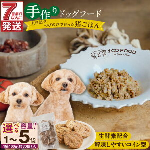 yӂ邳Ɣ[ŁzhbOt[h  ͂ Iׂ e 400g × 1 ` 5 1cofood S  r^~B12 WrG  Y t[c yf I[uIC C RC^ ybg 
