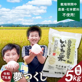 【ふるさと納税】令和7年産 夢つくし 5kg 精米 いのちの米 つややか 光沢 もちもち 食感 粘り 甘み 国産 米 白米 新米 ブランド米 ご飯 白飯 おにぎり おむすび 弁当 主食 食品 食べ物 グルメ お取り寄せ お取り寄せグルメ 福岡県 久留米市 送料無料