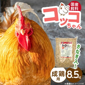 yӂ邳Ɣ[ŁzRbR {p  Ȃ 8.5kg { Nێ Ȃ z Y T|[g  JVE Lx Y  ^pN r^~ ~l A~m_ R _앨 L