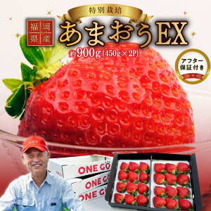 yӂ邳Ɣ[Łzy2026N1菇zY ܂ 450g×2pbN GRt@[}[ yÂ w_ w엿 ጸ ʍ͔| Mtgz 󏭉l EX C`S t[c fU[