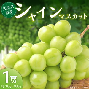 yӂ邳Ɣ[ŁzVC}XJbg 700g`800g 1[ x  _ Ȃ 嗱 n 炲 Hׂ }XJbg Ԃǂ ʕ t[c ʎ _ƒ ① v[gp p 