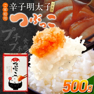 yӂ邳Ɣ[Łzƒp hqq oR Ԃ 500g q  J 菜  lߍ킹 qpX^ HĂ tX R𖾑  CN  ①  