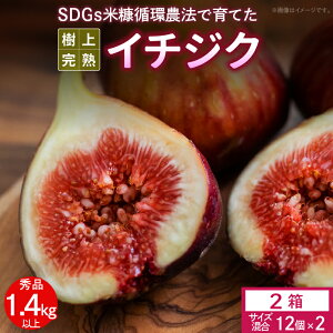 �y�ӂ邳�Ɣ[�Łz�C�`�W�N �G�i 700g �ȏ� �T�C�Y���� 12�� × 2�� SDGs �čf�z�_�@ ���㊮�n ����h�[�t�B�� �C�`�W�N�P�[�L �W���� �W�F���[�g �t���[�c �ʕ� �ׂ�ɂ��� ��p�e�� �M�t�g ��