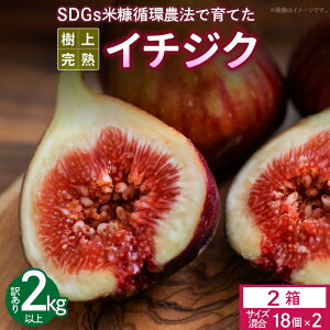 yӂ邳Ɣ[ŁzC`WN 󂠂i 1L ȏ TCY  18 × 2 SDGs čfz_@ ㊮n In͔| h[tB hCt[c W X[W[  vĎs _Y 