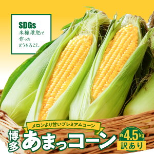 yӂ邳Ɣ[ŁzӂGR_Y Yn 2026N6菇o Ƃ낱 󂠂 4.5kg  12{ ` 20{ Â ܂R[ vĎY ƒp v~AR[ Â 
