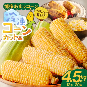 yӂ邳Ɣ[Łz܂R[ Jbg 4.5Lȏ 12 ` 20{ Jbgi Ƃ낱 Y Ⓚ Â v~AR[ ӂGR_Y R[ t[ĉ悤ȊÂ 