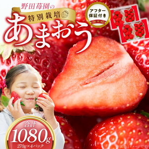 yӂ邳Ɣ[Łz܂ 270g 2pbN 2 v 1080g Y  Xgx[ ʍ͔| F At^[ۏ S S  ʕ ʏ` t[c XC[c fU[g ①  vĎs 