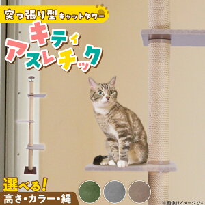 �y�ӂ邳�Ɣ[�Łz�L���b�g�^���[ �L�e�B�A�X���`�b�N �˂�����^ �L �L�p ����ɂ��� ���[�v�^�C�v �O�~���� �ǂ��ł� �܂Ƃ� �^���s������ �X�g���X���� ���S ���S �g���� �󒍐��Y ���{��