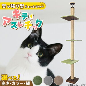 yӂ邳Ɣ[ŁzLbg^[ LeBAX`bN ˂^ L Lp ɂ [v^Cv O~ ǂł ܂Ƃ ^s XgX S S g 󒍐Y {