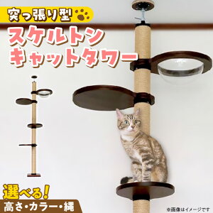 yӂ邳Ɣ[ŁzLbg^[ XPg ˂^ L Lp  NA{E Ƌdグ CeA d  ^s XgX S S ϋv g 󒍐Y 