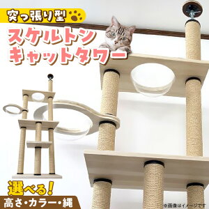 yӂ邳Ɣ[ŁzLbg^[ XPg ˂^ L Lp  NA{E Ƌdグ CeA d    ^s XgX S S ϋv