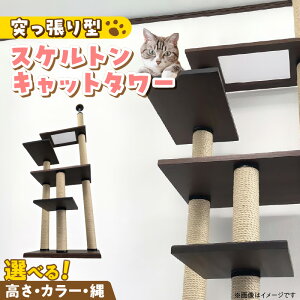 yӂ邳Ɣ[ŁzLbg^[ XPg ˂^ V[X[ L Lp Ƌdグ CeA d    ^s XgX S S ϋv g