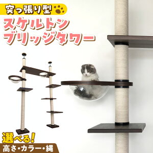 yӂ邳Ɣ[ŁzLbg^[ XPg ubW^[ ˂^ ܂Ƃ L Lp  NA{E Ƌdグ CeA d  ^s XgX  S S ϋv