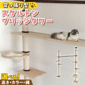 yӂ邳Ɣ[ŁzLbg^[ XPg ubW^[ ˂^ ܂Ƃ L Lp  NA{E Ƌdグ CeA d  ^s XgX  S S ϋv