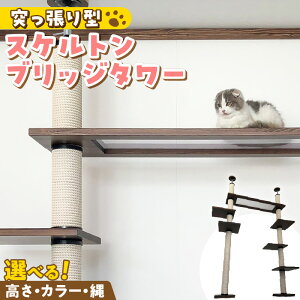 yӂ邳Ɣ[ŁzLbg^[ XPg ubW^[ ˂^ ܂Ƃ L Lp  NA{E Ƌdグ CeA d  ^s XgX  S S ϋv