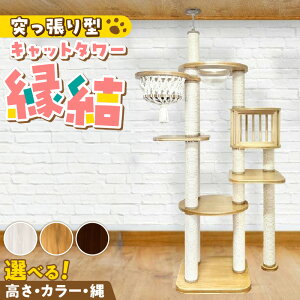 yӂ邳Ɣ[ŁzLbg^[  ˂^ }N nbN  NA{E L znEX CeA d  ^s XgX S S ϋv g 