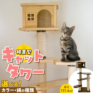 yӂ邳Ɣ[ŁzLbg^[ u^ L Lp gl[h[uS-H nEXt ^s XgX S 萫 p ϋv Ƌdグ  CeA 󒍐Y L^[