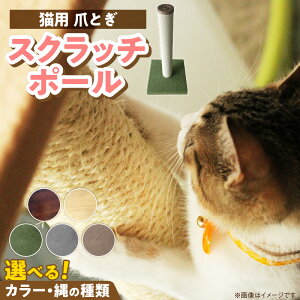 yӂ邳Ɣ[Łz܂Ƃ XNb`|[ L Lp h~ XgX  Vv  CeA 󒍐Y ܂Ƃ|[ ybgpi   vĎs 