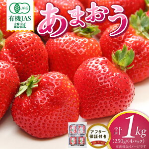 yӂ邳Ɣ[ŁzL@ ܂ 250g 4pbN v 1000g L@JASF I[KjbN  Xgx[ ʍ͔| F At^[ۏؕt S S ₳Â  W[V[ ʕ ʏ` t