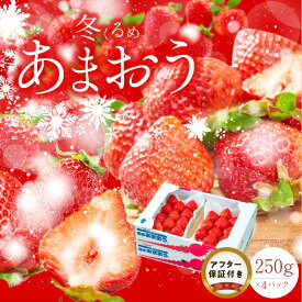 【ふるさと納税】【2026年12月以降お届け】 冬くるめ あまおう 250g × 4パック 合計 1kg 冷蔵 濃厚 甘い 果汁 アフター保証 国産 いちご 果物 アレンジ おやつ お菓子 タルト フルーツ スイーツ スムージー ジャム 南国フルーツ お取り寄せ 福岡県 久留米市 送料無料