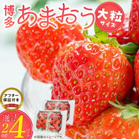 【ふるさと納税】いちご あまおう 約280g 以上 選べる 2パック 4パック 大粒 果物 フルーツ みずみずしい ジューシー 甘み 酸味 濃厚 ストロベリー パフェ ショートケーキ パンケーキ スムージー サンドイッチ ジャム お菓子作り お取り寄せ 福岡県 久留米市 送料無料