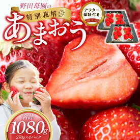 【ふるさと納税】【2027年2月から順次発送】 あまおう 270g 2パック 2箱 計 1080g 福岡県産 いちご ストロベリー 特別栽培 認証 アフター保証 安心 安全 艶 果物 果汁 フルーツ スイーツ デザート 冷蔵 福岡県 久留米市 お取り寄せ 送料無料