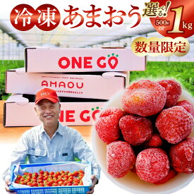 【ふるさと納税】福岡県産あまおう 選べる 500g 1kg 特別栽培 数量限定 急速冷凍 いちご あまおう 冷凍 3Dフリーザー 長期保存可能 国産 シャーベット フルーツ デザート 果物 保存料不使用 福岡県 久留米市 送料無料