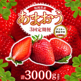 【ふるさと納税】【2027年1月以降お届け】 定期便 3回 あまおう 計12パック (約250g×4パック×3回) いちご 福岡県産 大粒 濃厚 フルーツ 果物 国産 アフター保証 お取り寄せ 福岡県 久留米市 送料無料