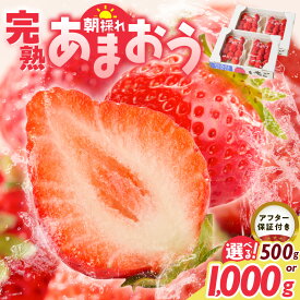 【ふるさと納税】【2027年1月より順次発送】増永農園 福岡県産あまおう 250g 選べる パック数 2パック 4パック 高級特産品 あまおう 福岡県産 朝採れ 新鮮 こだわり いちご とれたて ブランドいちご フルーツ 果物 デザート スイーツ お取り寄せ 福岡県 久留米市 送料無料