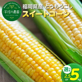 【ふるさと納税】福岡県産 とうもろこし 選べる 容量 2.5kg ～ 5kg スイートコーン 6本 ～ 18本 生でも食べれる 朝どれ 甘み ジューシー 旬 野菜 食材 宇佐川農園 お取り寄せ お取り寄せグルメ 福岡県 久留米市 送料無料